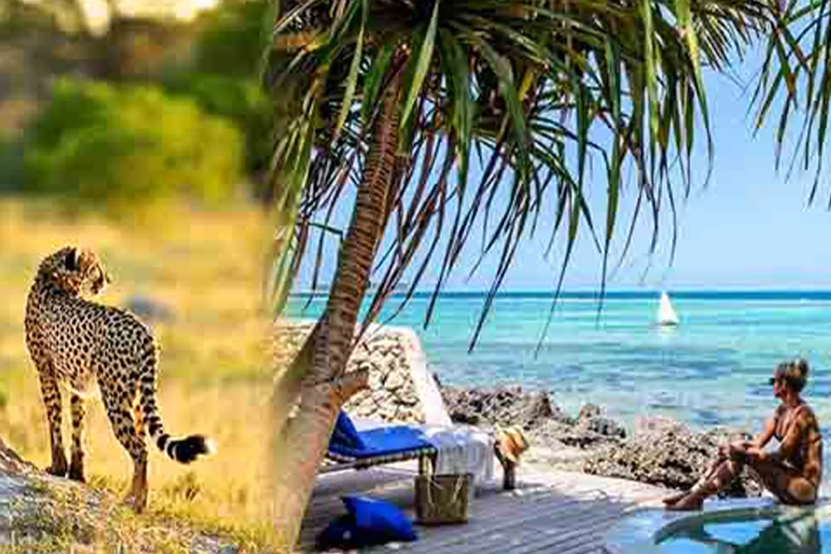 4 Days Luxury Safari from Zanzibar