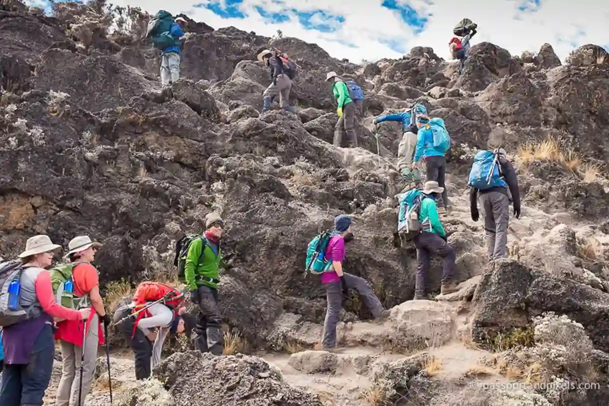 Kilimanjaro Blog