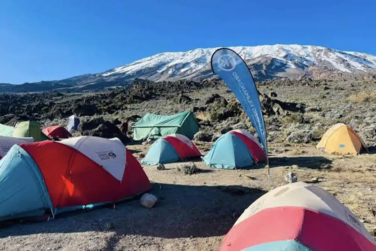 Kikelewa Camp Rongai Route Kilimanjaro