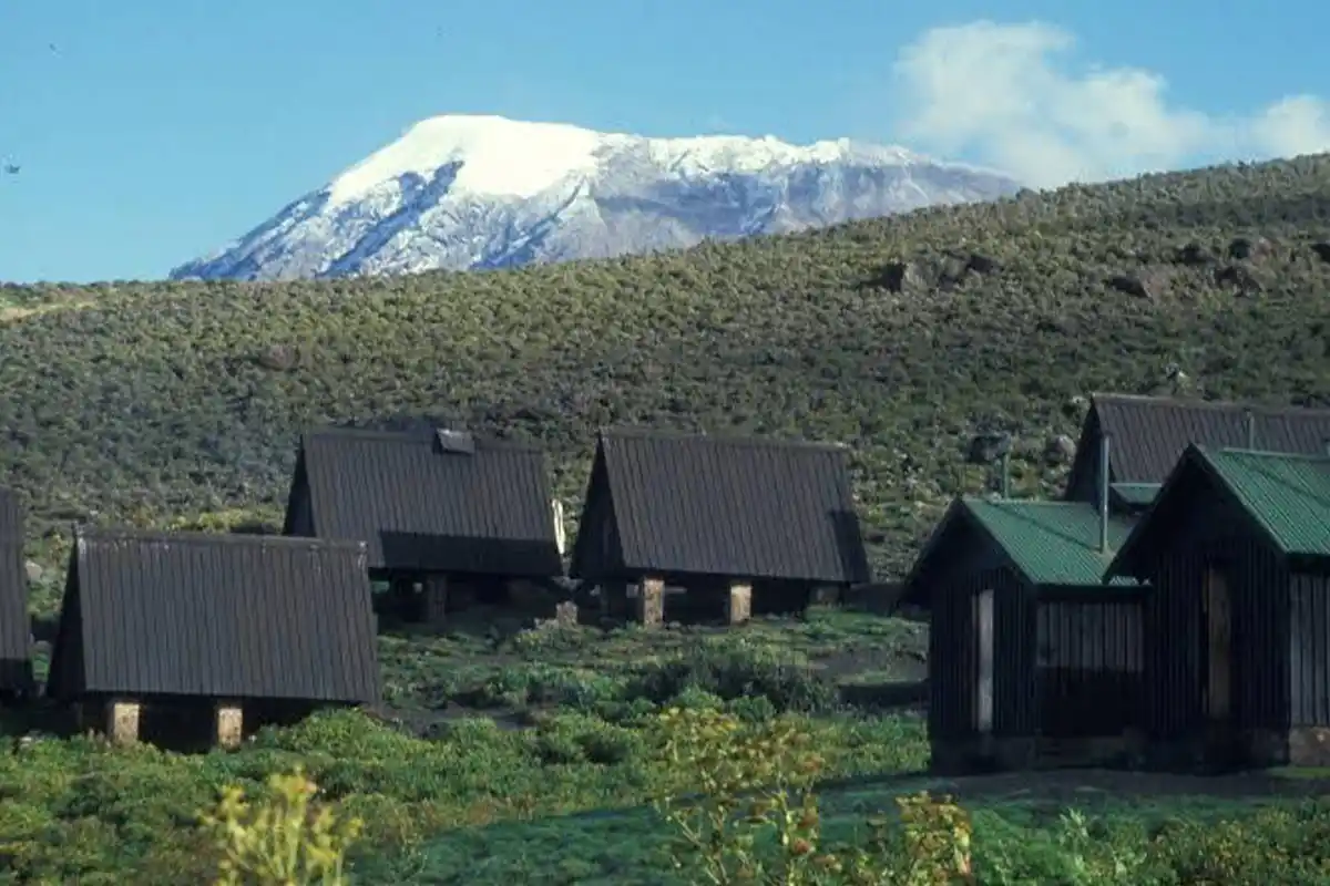 Luxury Camp Mandara Kilimanjaro