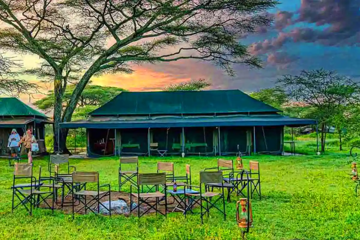 Ndutu Safari Camp