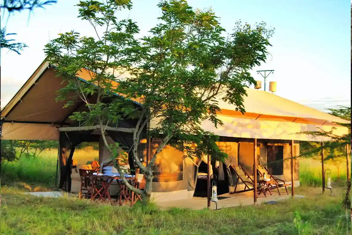 Ndutu Mobile Camp