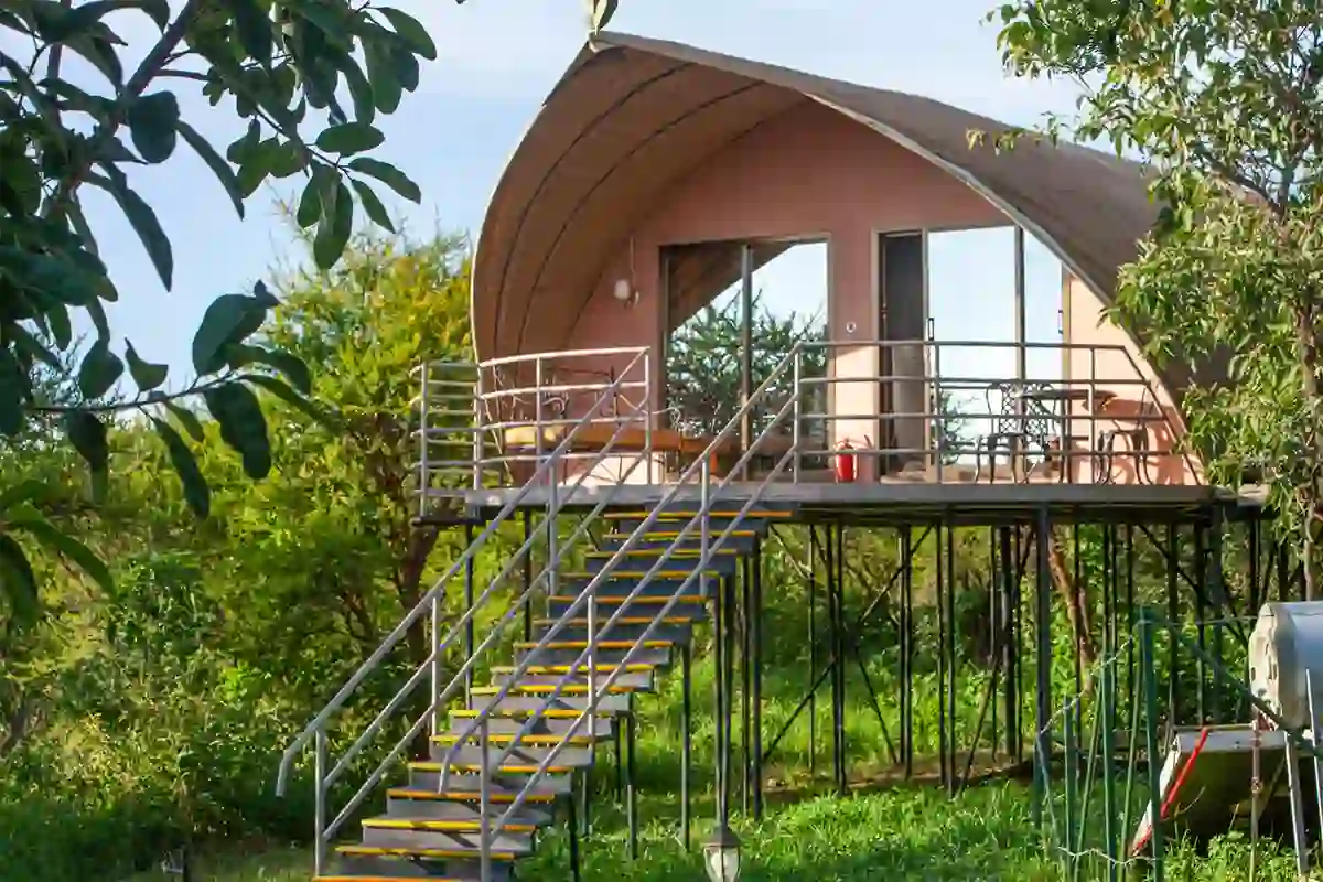Ngorongoro Wild Camp accommodation on the crater rim with stunning views