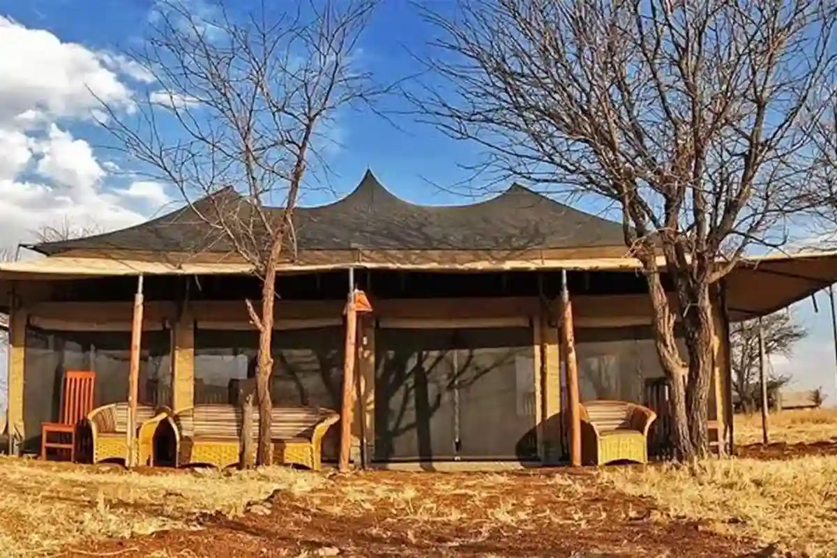 Robins Serengeti