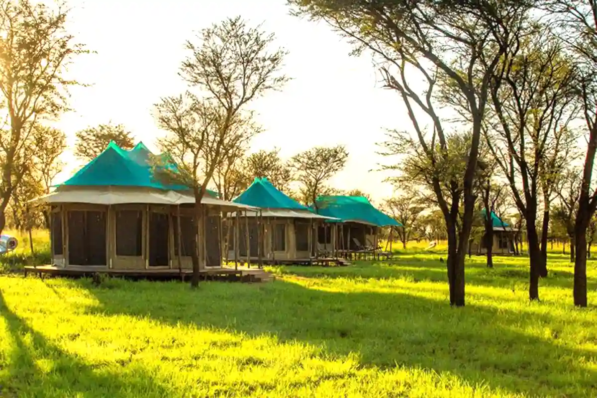 Shuhudia Adventure Camp Serengeti