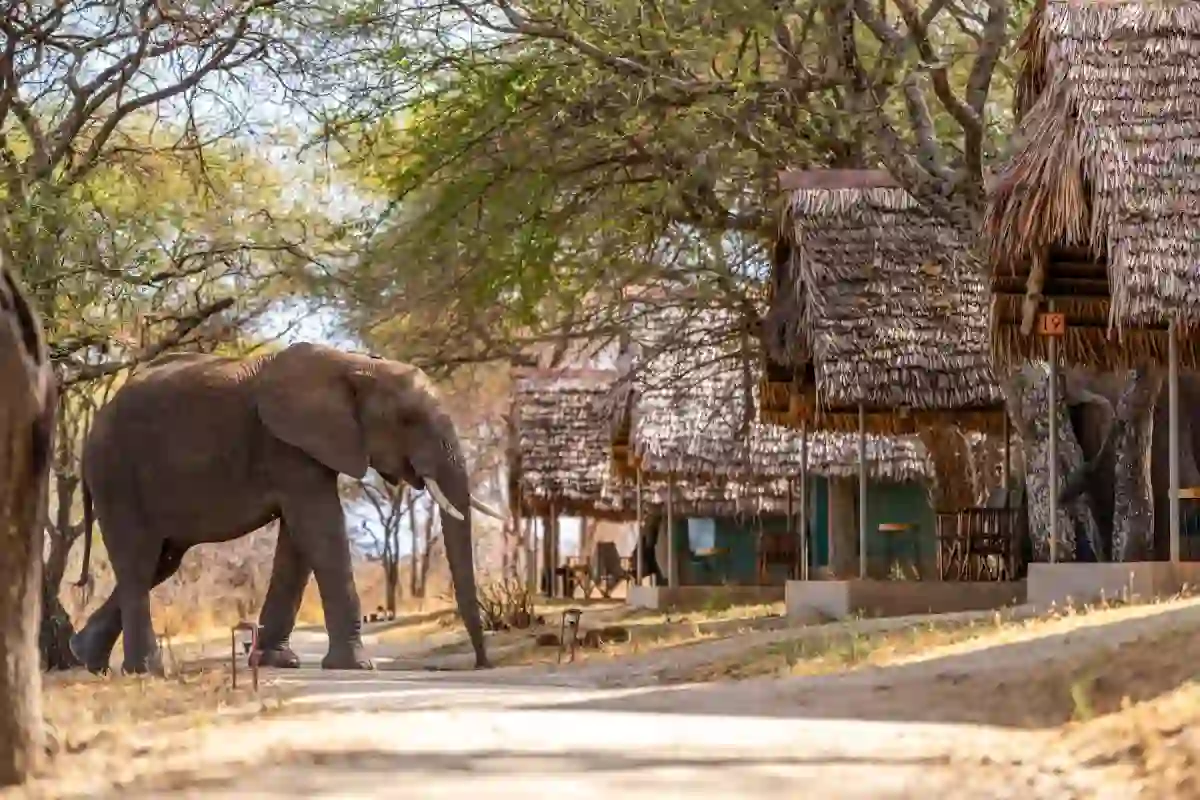 Tarangire Safari Lodge accommodation overlooking Tarangire National Park