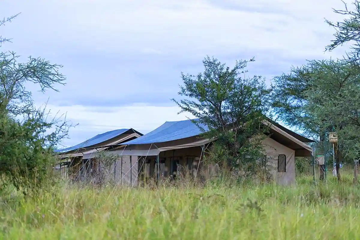 Wilderness Camp Serengeti