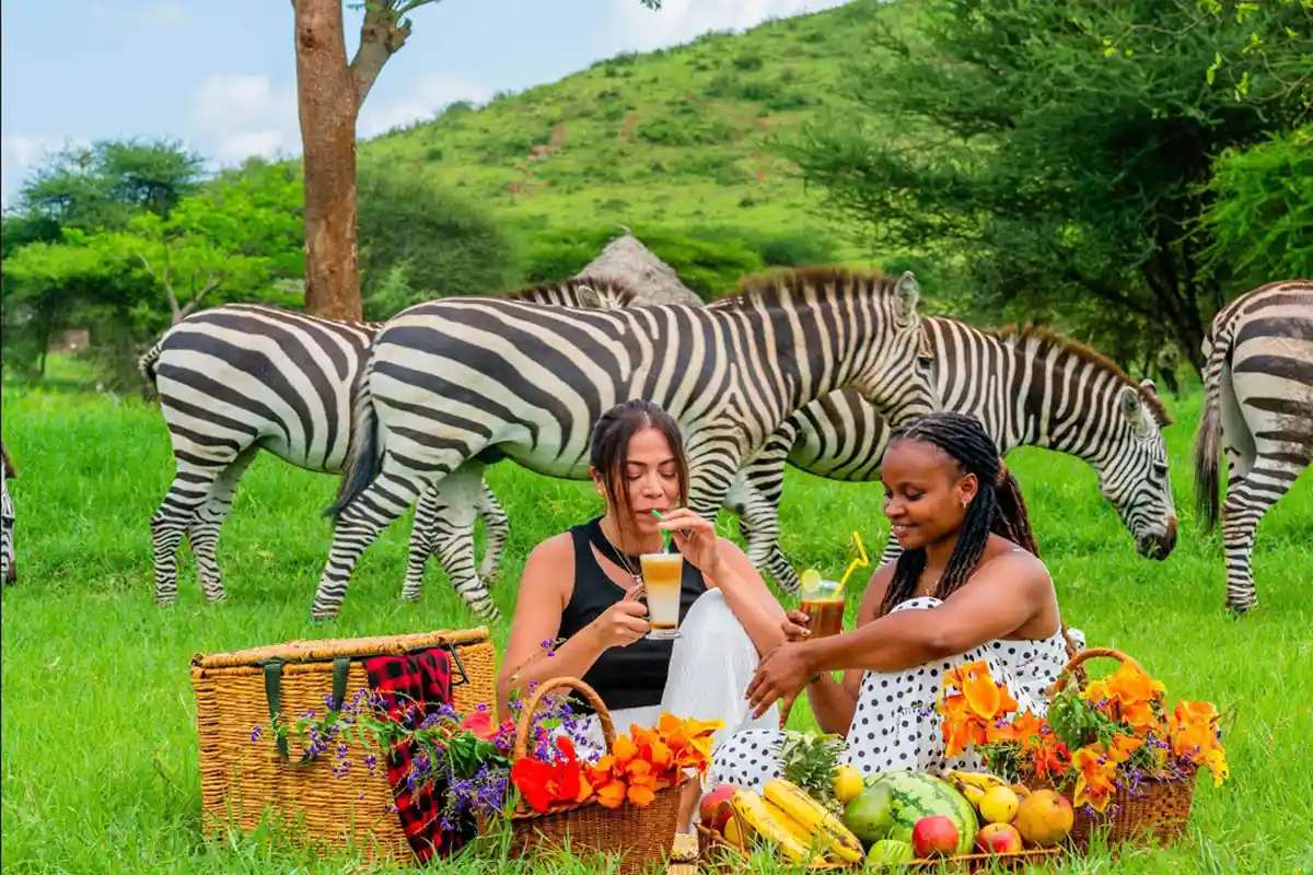 Luxury Safari from Moshi Hero