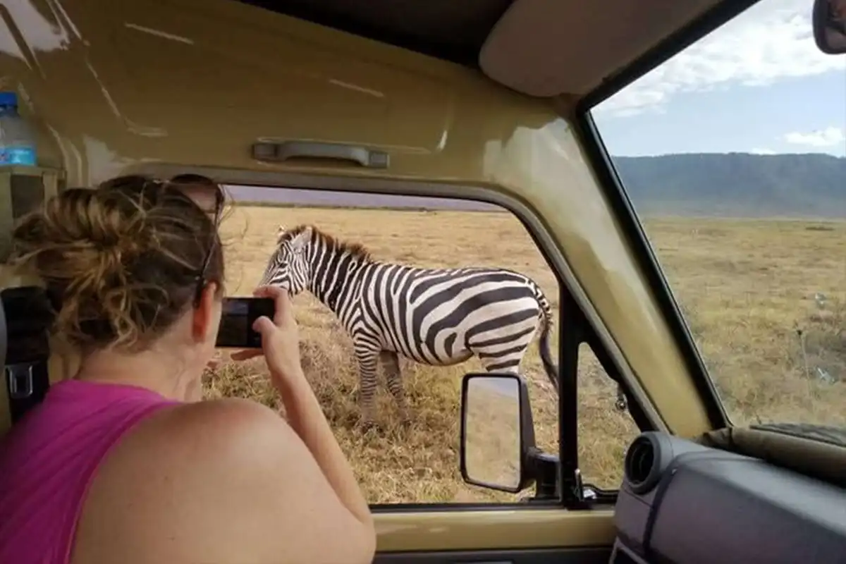 4 Days Mid-Range Lodge Safari