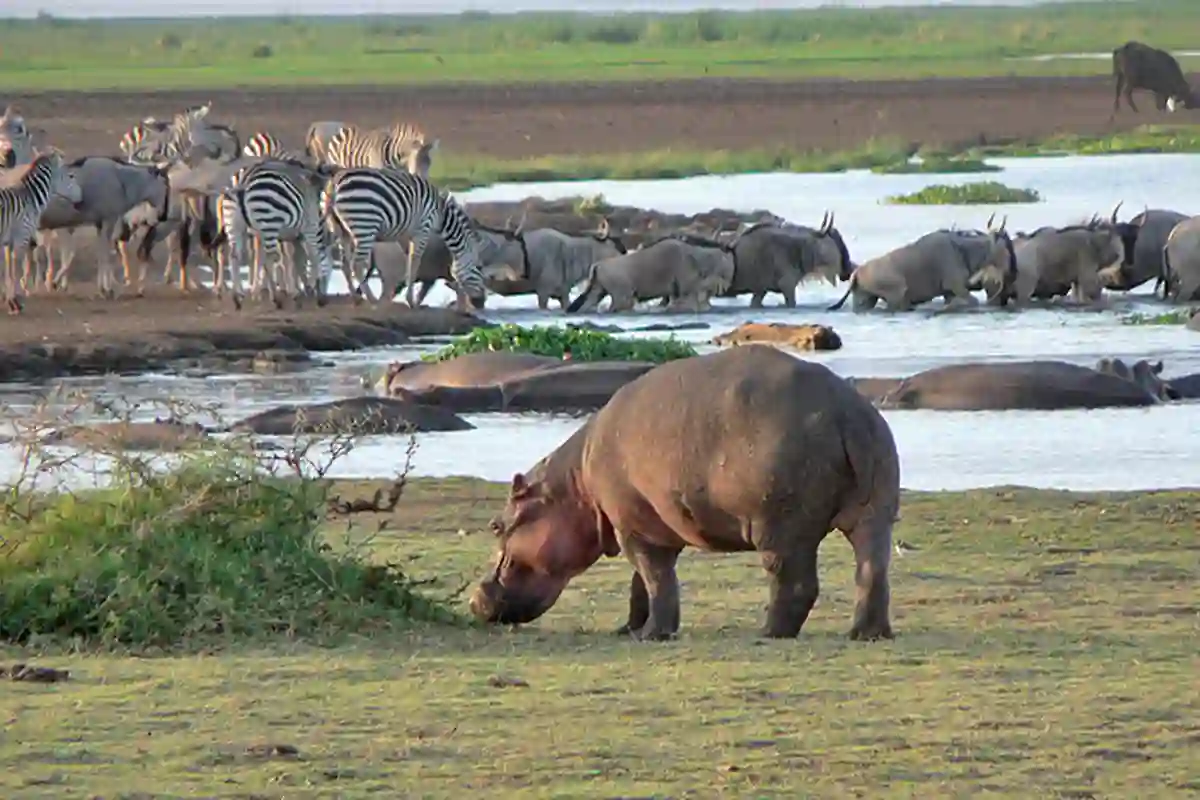 4 Days Budget Tarangire & Manyara Safari