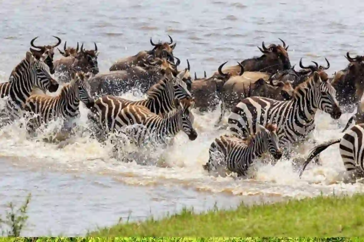 4 Days Budget Tarangire & Manyara Safari