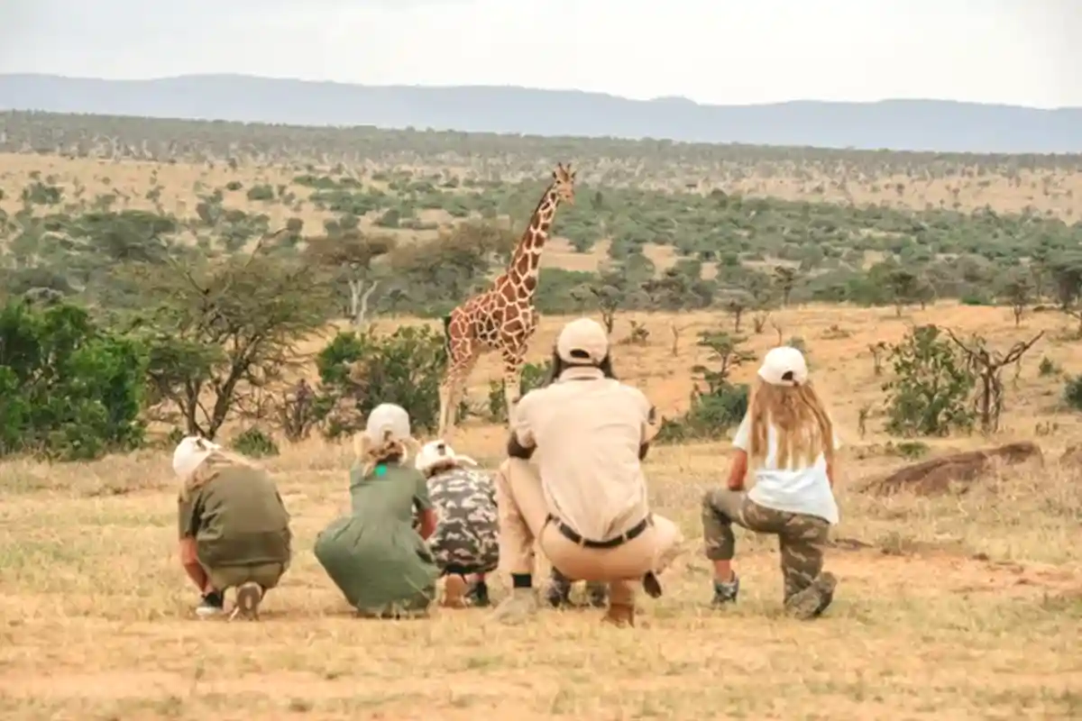 4 Days Family Luxury Safari from Zanzibar