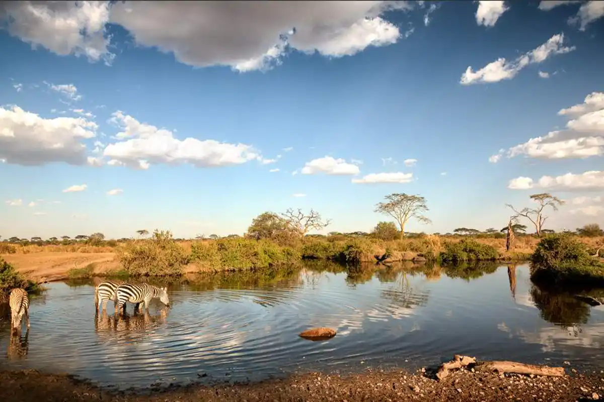 4 Days Kilimanjaro & Lake Manyara Mid-Range Safari