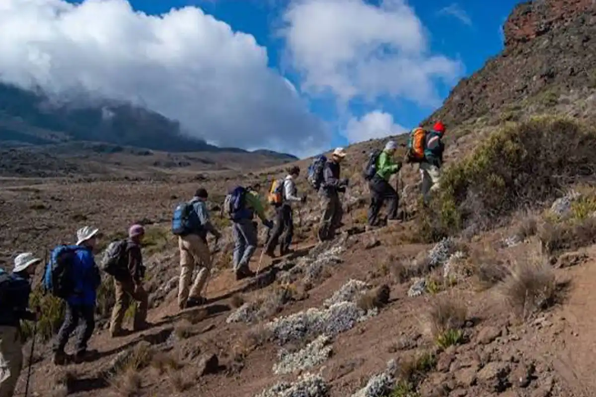 4 Days Kilimanjaro Trekking Marangu Route