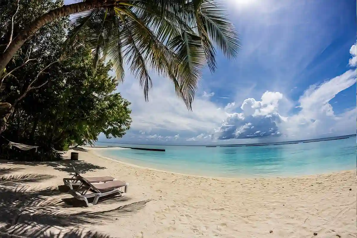 4 Days Luxury Safari from Zanzibar